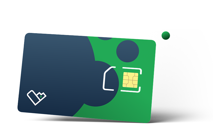 eSIM & Physical SIM